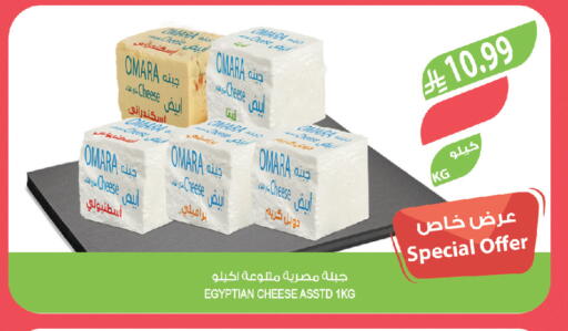 available at المزرعة in مملكة العربية السعودية, السعودية, سعودية - تبوك