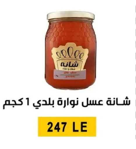 available at بن سليمان in Egypt - القاهرة