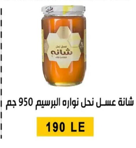 available at Ben Seleman in Egypt - Cairo