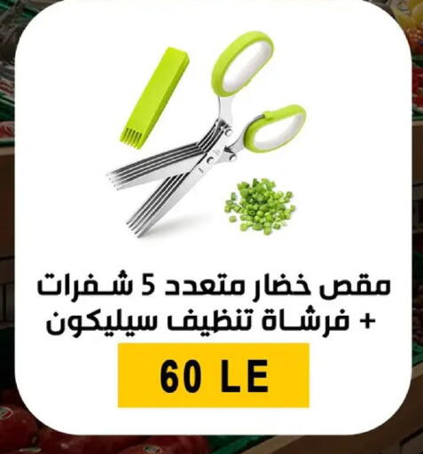 available at بن سليمان in Egypt - القاهرة