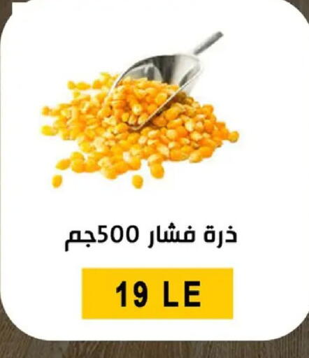 available at بن سليمان in Egypt - القاهرة