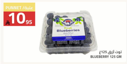 Blueberry BlueBerry available at Astra Markets in KSA, Saudi Arabia, Saudi - Tabuk
