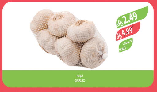 Garlic available at Farm  in KSA, Saudi Arabia, Saudi - Al-Kharj
