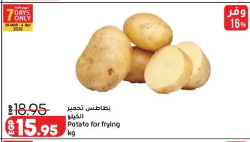 Potato available at Lulu Hypermarket  in Egypt - Cairo