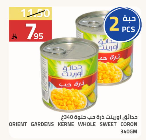 available at Astra Markets in KSA, Saudi Arabia, Saudi - Tabuk