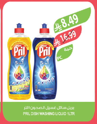 available at Farm  in KSA, Saudi Arabia, Saudi - Al-Kharj