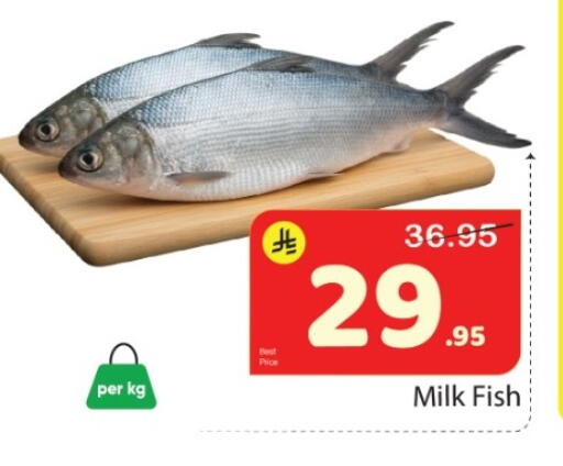 available at Elite 10 Hypermarket in KSA, Saudi Arabia, Saudi - Riyadh