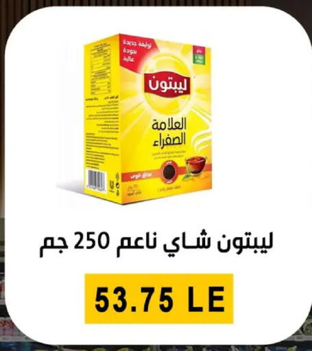 available at بن سليمان in Egypt - القاهرة