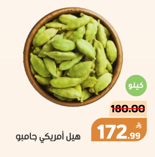 Apple available at أسواق جرين أبل in مملكة العربية السعودية, السعودية, سعودية - الأحساء‎