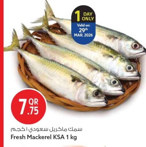 available at سفاري هايبر ماركت in قطر - الدوحة