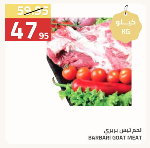 available at أسواق أسترا in مملكة العربية السعودية, السعودية, سعودية - تبوك
