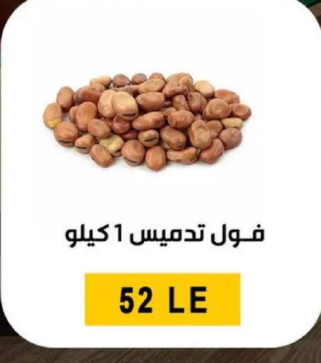 available at بن سليمان in Egypt - القاهرة