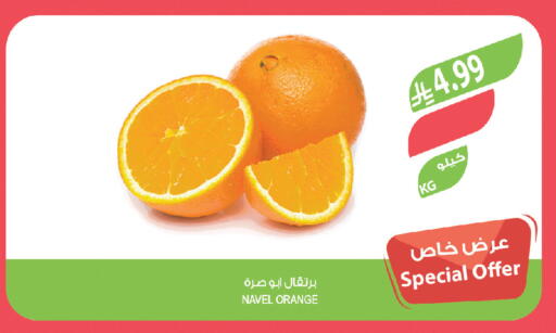Orange available at Farm  in KSA, Saudi Arabia, Saudi - Al-Kharj