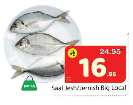 available at Elite 10 Hypermarket in KSA, Saudi Arabia, Saudi - Riyadh