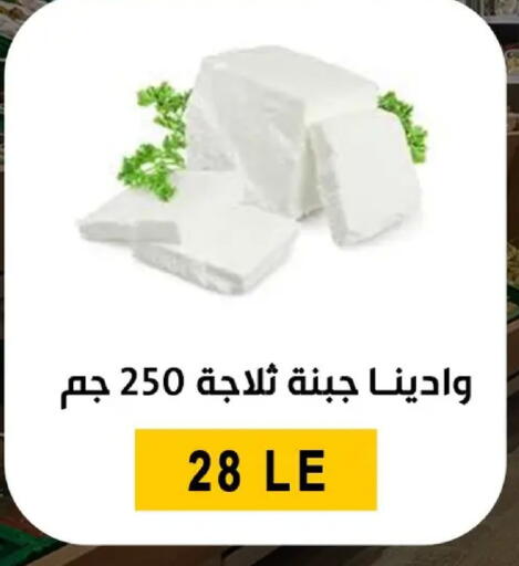 available at بن سليمان in Egypt - القاهرة