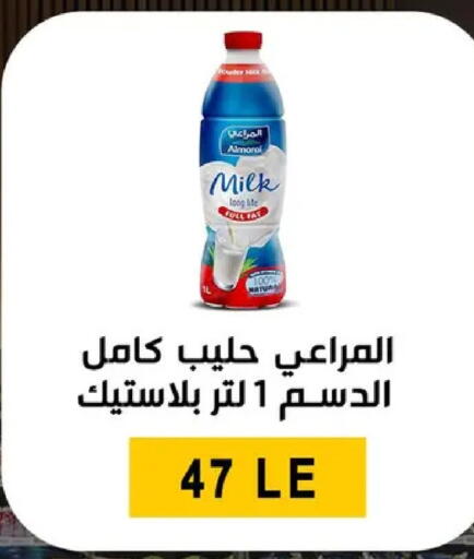 available at Ben Seleman in Egypt - Cairo