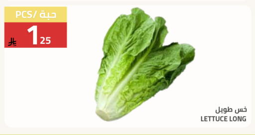 Lettuce available at Astra Markets in KSA, Saudi Arabia, Saudi - Tabuk