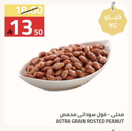 available at Astra Markets in KSA, Saudi Arabia, Saudi - Tabuk
