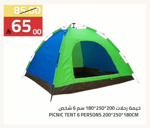 available at Astra Markets in KSA, Saudi Arabia, Saudi - Tabuk