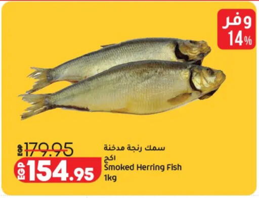 available at Lulu Hypermarket  in Egypt - Cairo