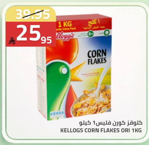 available at Astra Markets in KSA, Saudi Arabia, Saudi - Tabuk