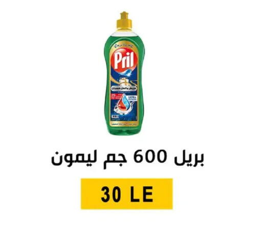 available at Ben Seleman in Egypt - Cairo