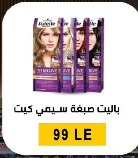 available at بن سليمان in Egypt - القاهرة