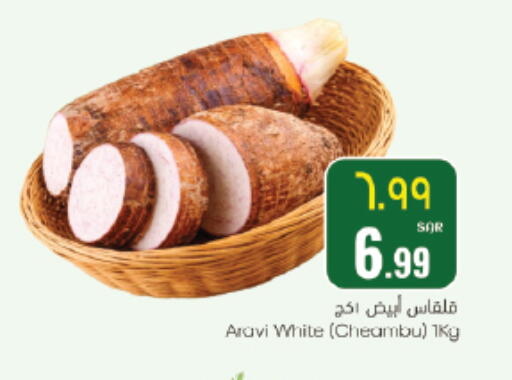 available at ستي فلاور in مملكة العربية السعودية, السعودية, سعودية - سكاكا