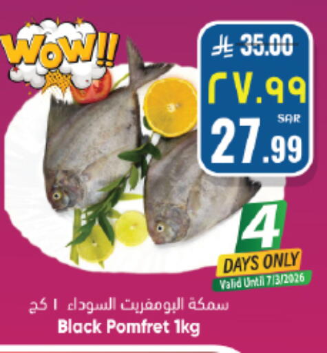 available at ستي فلاور in مملكة العربية السعودية, السعودية, سعودية - نجران