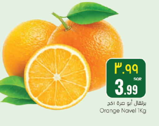 Orange available at ستي فلاور in مملكة العربية السعودية, السعودية, سعودية - الجبيل‎