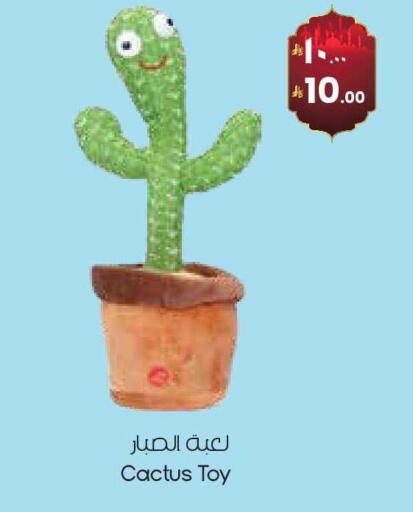 available at ستي فلاور in مملكة العربية السعودية, السعودية, سعودية - ينبع