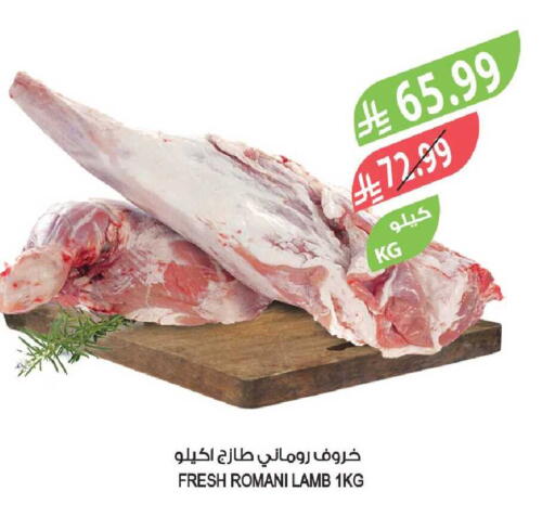 available at المزرعة in مملكة العربية السعودية, السعودية, سعودية - جدة