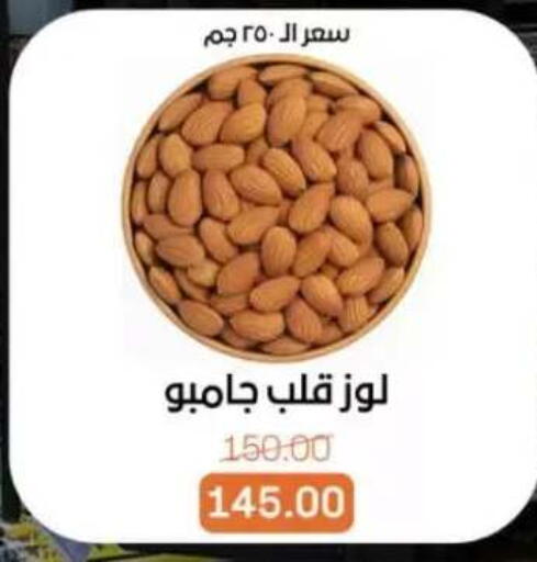 available at بيت الجملة in Egypt - القاهرة