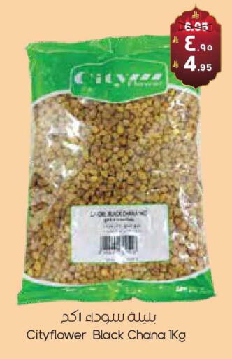 available at ستي فلاور in مملكة العربية السعودية, السعودية, سعودية - الأحساء‎