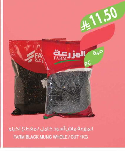 available at المزرعة in مملكة العربية السعودية, السعودية, سعودية - جدة