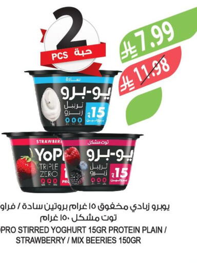 Strawberry available at Farm  in KSA, Saudi Arabia, Saudi - Al-Kharj