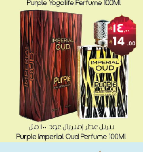 available at City Flower in KSA, Saudi Arabia, Saudi - Hail