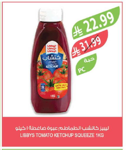 Tomato available at Farm  in KSA, Saudi Arabia, Saudi - Tabuk