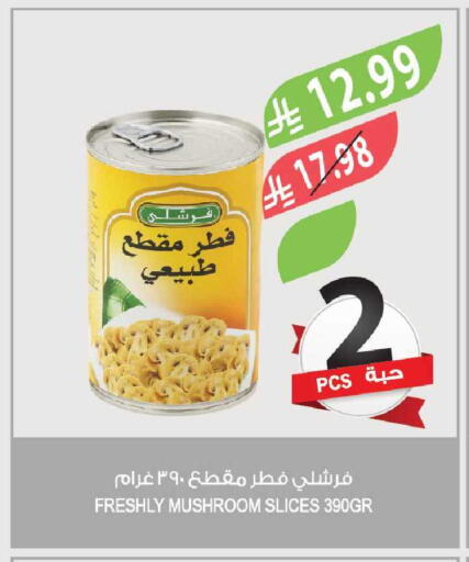 Mushroom available at Farm  in KSA, Saudi Arabia, Saudi - Al Bahah