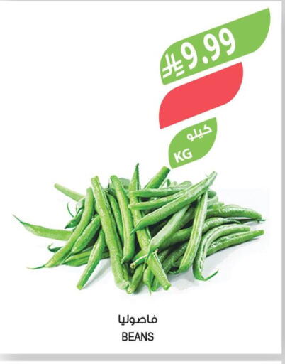 available at المزرعة in مملكة العربية السعودية, السعودية, سعودية - الخرج