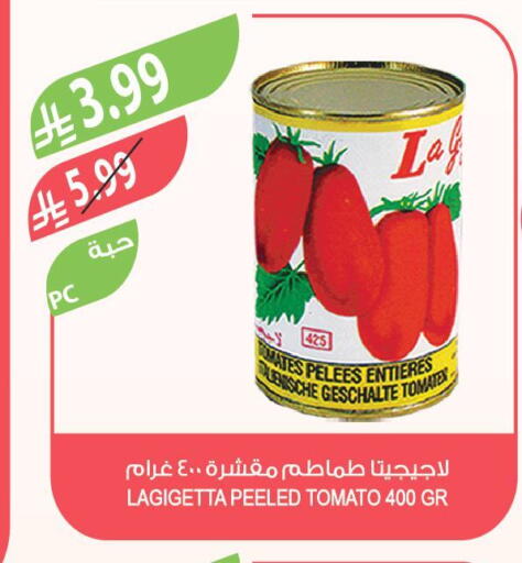 Tomato available at Farm  in KSA, Saudi Arabia, Saudi - Al-Kharj