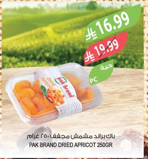 Apricot available at Farm  in KSA, Saudi Arabia, Saudi - Saihat