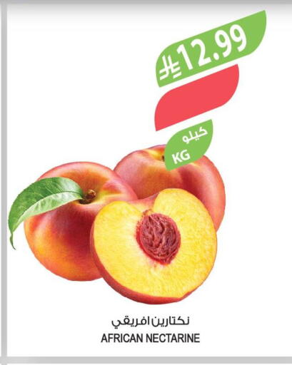 Nectarine available at المزرعة in مملكة العربية السعودية, السعودية, سعودية - الخرج