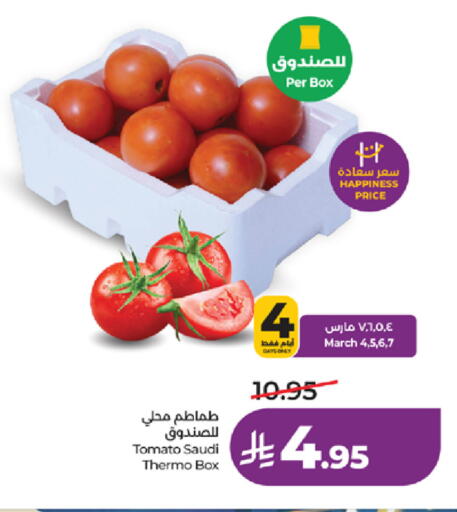 Tomato from Saudi Arabia available at لولو هايبرماركت in مملكة العربية السعودية, السعودية, سعودية - مكة المكرمة