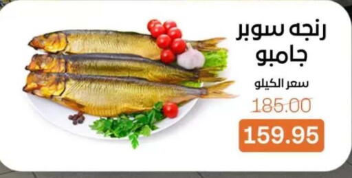 available at Beit El Gomla in Egypt - Cairo