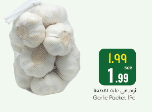 Garlic available at ستي فلاور in مملكة العربية السعودية, السعودية, سعودية - سكاكا
