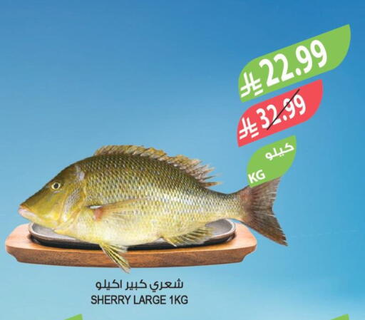 available at Farm  in KSA, Saudi Arabia, Saudi - Jubail