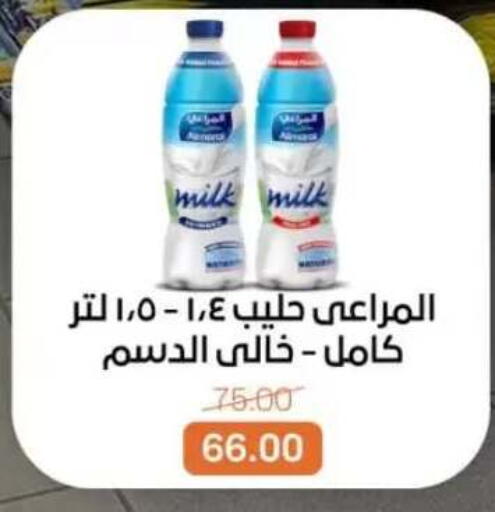 available at Beit El Gomla in Egypt - Cairo