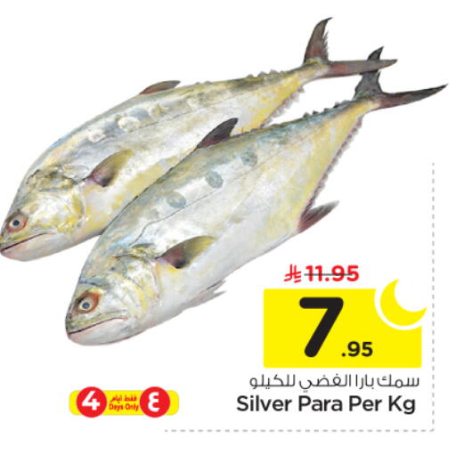 available at نستو in مملكة العربية السعودية, السعودية, سعودية - الرياض