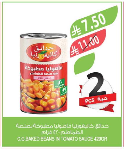 Tomato available at Farm  in KSA, Saudi Arabia, Saudi - Najran